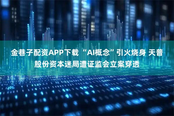 金巷子配资APP下载 “AI概念”引火烧身 天普股份资本迷局遭证监会立案穿透