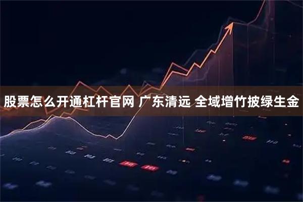股票怎么开通杠杆官网 广东清远 全域增竹披绿生金