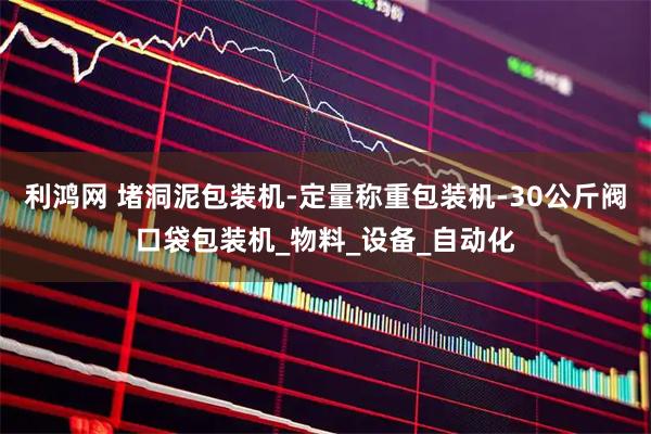 利鸿网 堵洞泥包装机-定量称重包装机-30公斤阀口袋包装机_物料_设备_自动化
